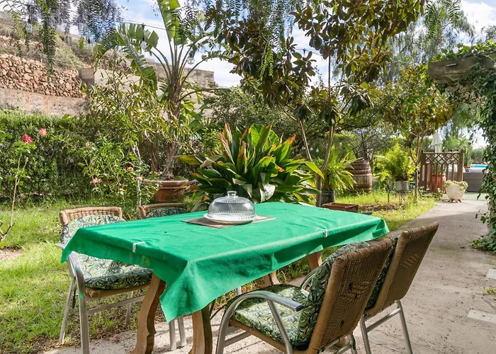 De Reyes 圣克鲁斯-德特内里费